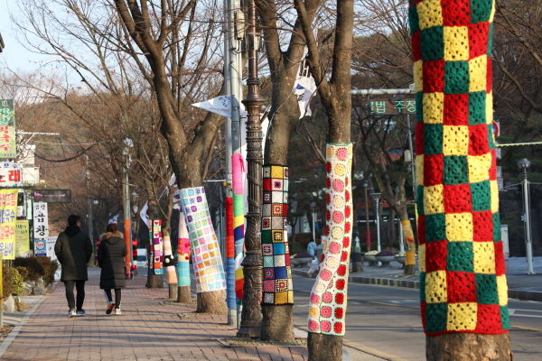 안양시가 예술공원 털실옷 가로수 길을 조성해 관광객들의 시선을 사로잡고 있다.