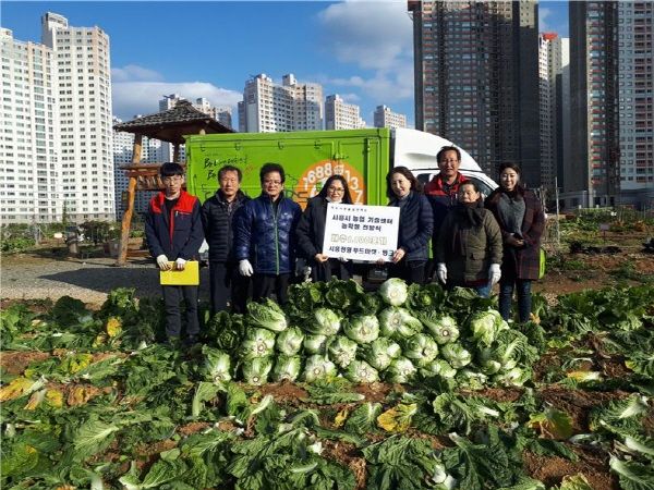 도시농업공원에서 지역공동체일자리사업 참여자들이 손수 키운 김장용 채소를 시흥시정왕푸드뱅크사업소에 전달했다.