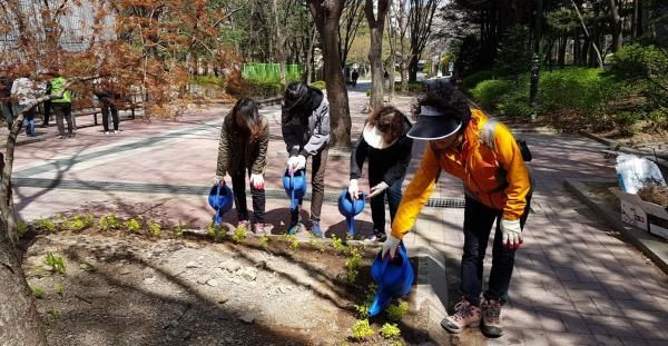 성남시 공공근로 중 지역 환경정비사업 분야 참여자들