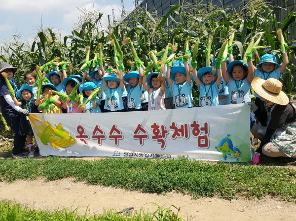 ‘옥수수 따기 체험’ 15~18일 성남시민농원서 열려