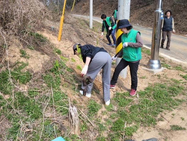 세종시 금남면 새마을회, '금남사랑 식목행사' 개최