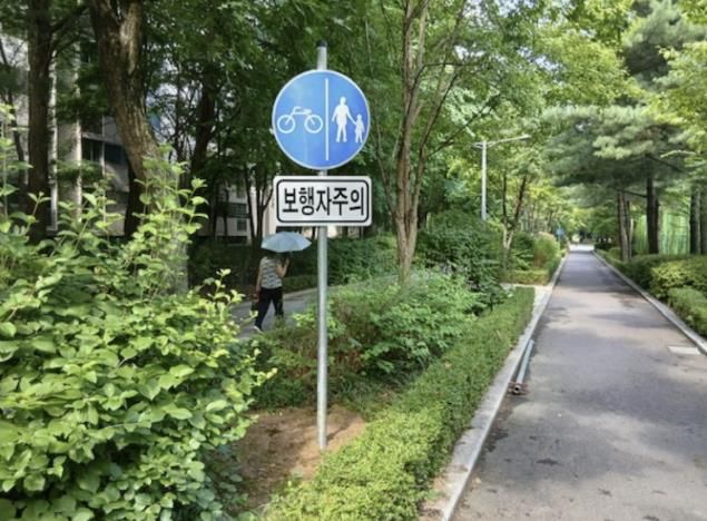 고양시 일산서구, 초등학교 통학로 자전거 충돌 위험 줄인다