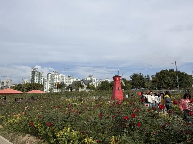 2025년 양주나리농원 가을 개장 성황리 종료