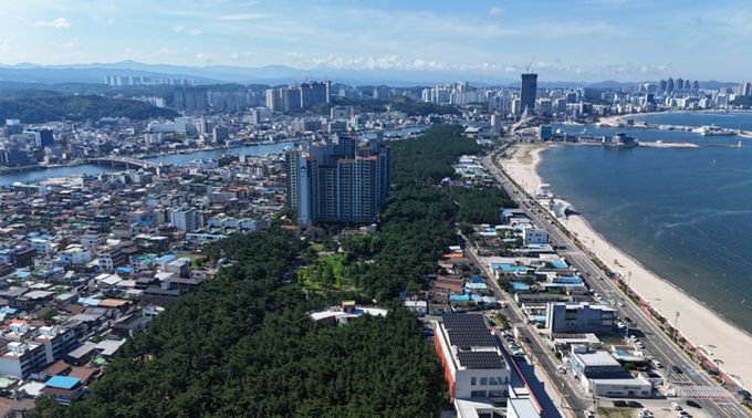 송도솔밭 도시숲 전경