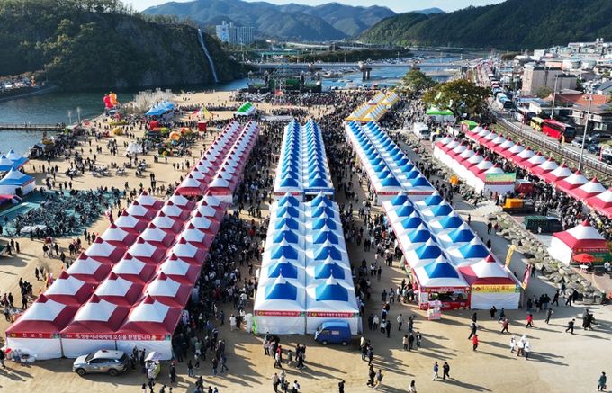 제19회 청송사과축제, 말 그대로 인산인해로 성황리 마무리
