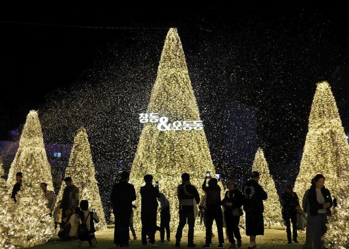 2025 창원시 빛의거리 조성 현장