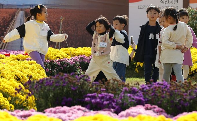 제8회 강진만 춤추는 갈대축제가 펼쳐진 강진만 생태공원에서 아이들이 뛰어놀고 있다.