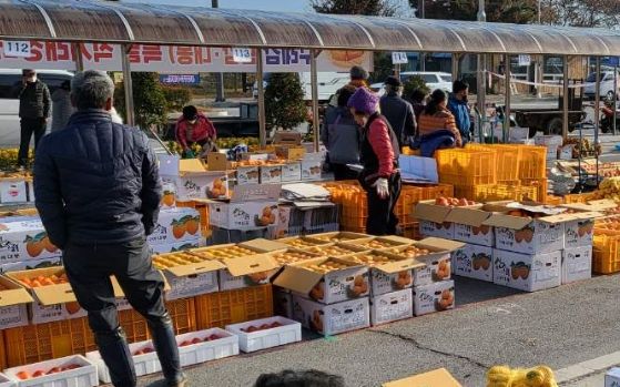 구례군, ‘구례 감’특별 직거래 장터 운영