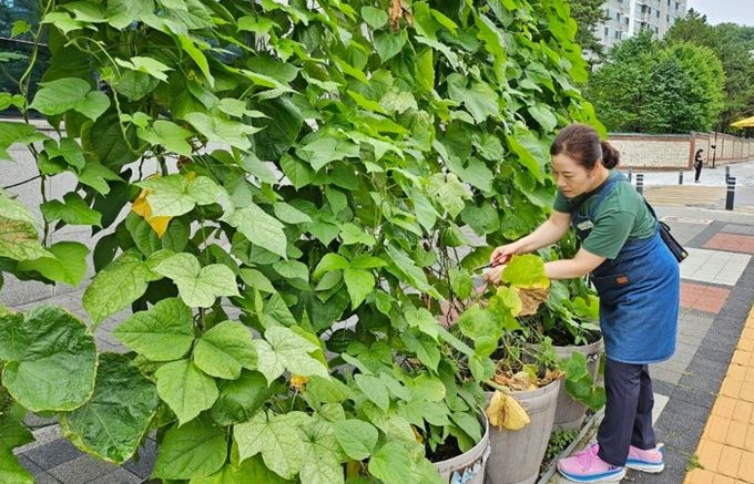 양주시, ‘찾아가는 도시농업서비스’ 본격 추진