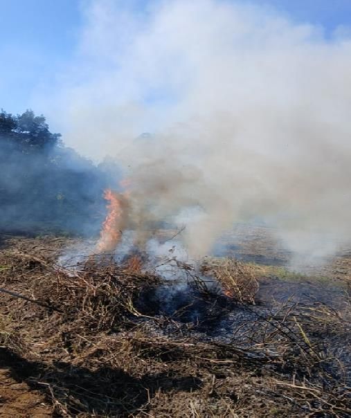 안성시, 농촌지역 산불․화재 예방 불법소각 집중단속 결과, 올해 81건 적발