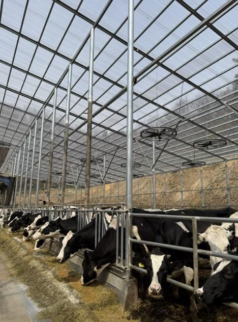 용인트례시가 '2026년 축산분야 생산지원사업' 희망 농가를 모집한다