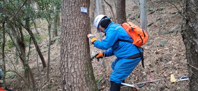 통영시 소나무재선충병 전략적 방제 추진